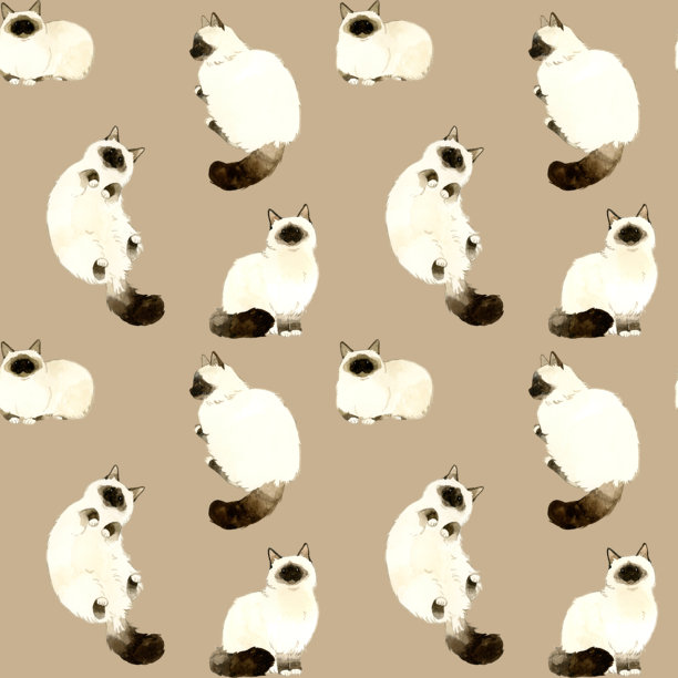 长毛重点色猫咪的无缝图案。手绘水彩动物/宠物插画背景素材。图片下载