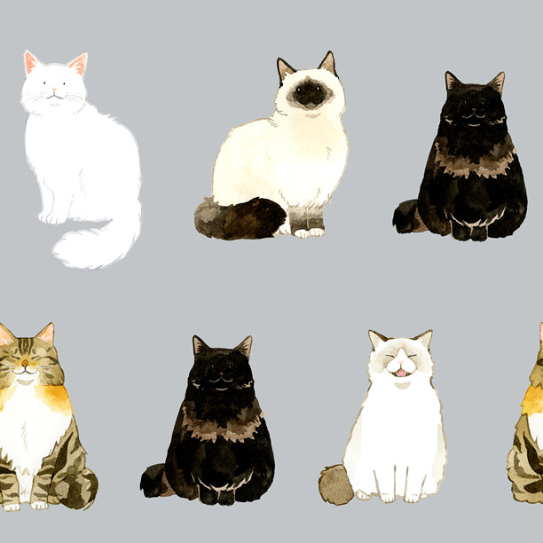 坐着的长毛猫的无缝图案。手绘水彩动物/宠物插图背景素材。图片下载
