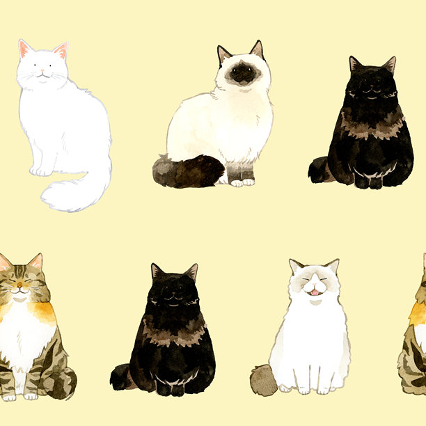 坐着的长毛猫的无缝图案。手绘水彩动物/宠物插画背景素材。图片下载