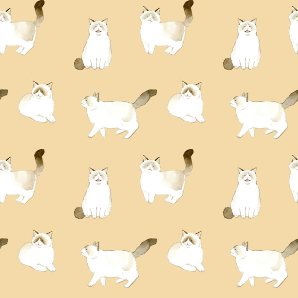 双色布偶猫的无缝图案。手绘水彩动物/宠物插画背景素材。图片下载