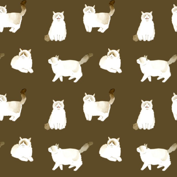 双色布偶猫的无缝图案。手绘水彩动物/宠物插画背景素材。图片下载