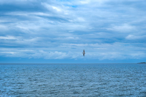 这张照片摄于2025年12月，地点是弗拉格斯塔夫角灯塔。画面捕捉了这座历史悠久的灯塔、周围的海岸景观，以及在此欣赏海景和进行户外活动的游客。图片下载