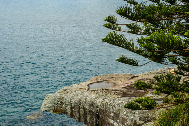 这张照片摄于2025年12月，地点为悬崖步道上的Hungry Point Reserve，展示了望向Bundeena和Maianbar的海岸线景色，人们在此享受徒步和海滨生活。图片下载
