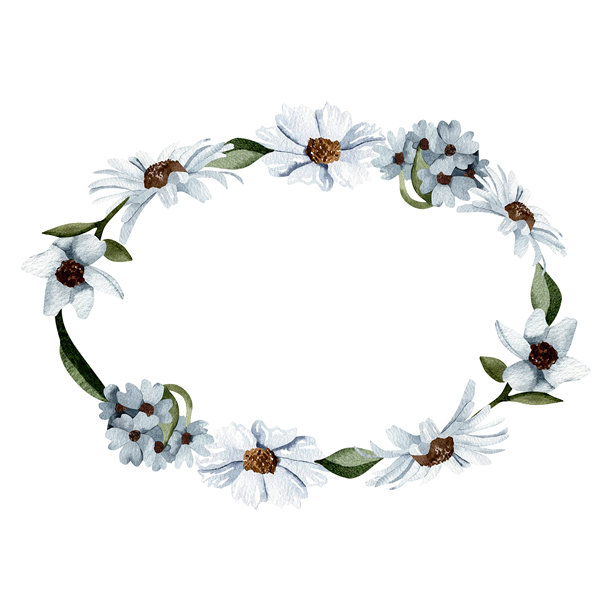 椭圆框内饰有蓝色的水彩花卉和绿叶，一幅野花的植物插画，一幅汇聚在一起的盛开花朵的自然图案。图片下载