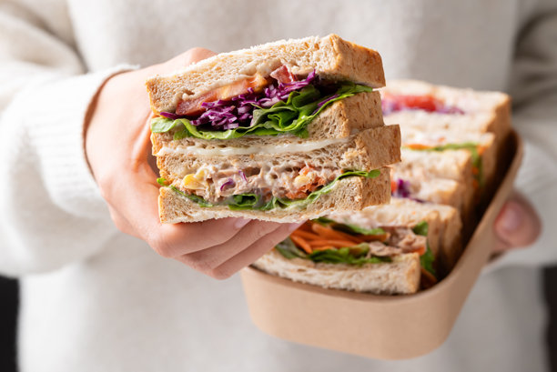 女人手持可生物降解食品盒里的金枪鱼蛋黄酱三明治，配有全麦面包、生菜、胡萝卜、番茄和紫甘蓝图片下载