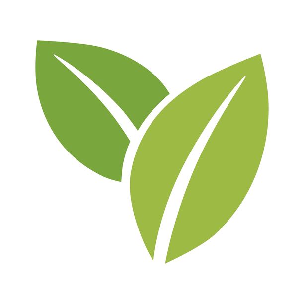 简单的绿叶。适用于自然主题设计和环保项目的概念。矢量插画图片下载