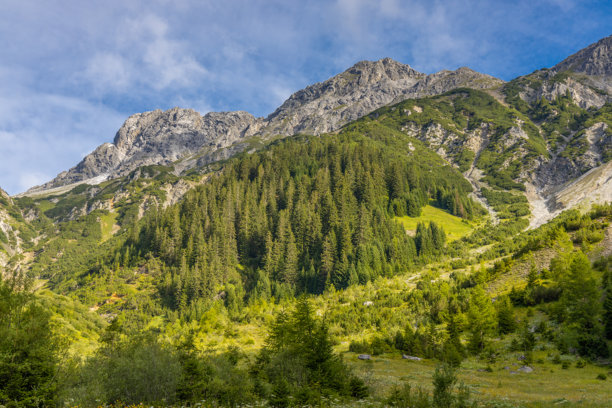 奥地利西部兰德克和扎姆斯阿尔卑斯山的山地景观，有陡峭的高山峰峦和森林覆盖的山坡图片下载