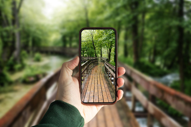 穿过木桥的森林小径照片图片下载