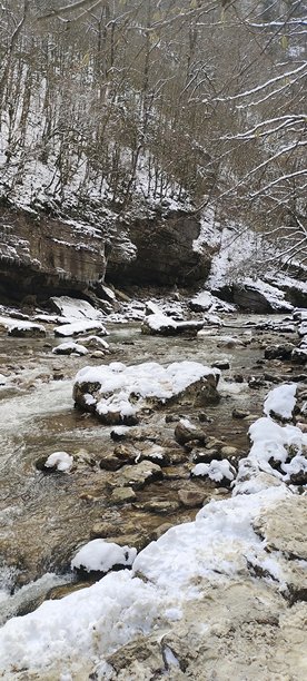 照片 覆盖着雪的树木和灌木丛的群山中岩石和流淌的河流图片下载