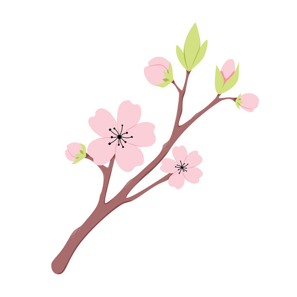 樱花盛开的矢量插画，粉色花朵图片下载