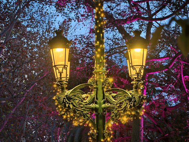 五彩缤纷的花朵间的一盏复古路灯，照亮了繁花似锦的花园景象图片下载