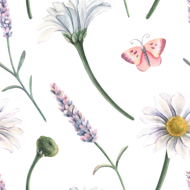 无缝图案，菊花，薰衣草，蝴蝶。手绘水彩植物插画，孤立在白色背景上，适用于纺织品、包装、文具、壁纸、品牌设计、婚礼设计、装饰图片下载