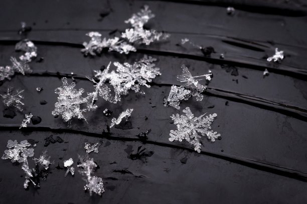 雪花。真实雪晶的微距照片。美丽的冬季背景，季节性的自然和冬季的天气。图片下载