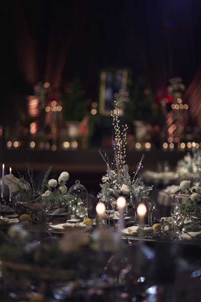优雅的冬季主题餐桌布置，配有蜡烛和花卉装饰的素材照片图片下载