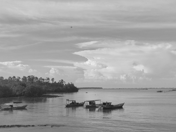 黑白照片：美丽晴朗的户外自然海滩风景图片下载