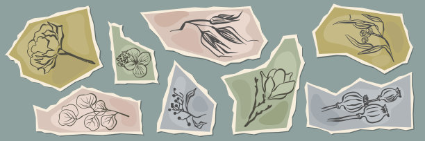 撕裂的纸片，带有手绘的花卉素描。复古植物插画，可用作日记和剪贴簿拼贴元素。图片下载