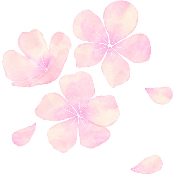 水彩风格樱花插画，用于春季，柔粉色樱花，日式花卉设计，留有复制空间图片下载