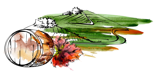 连绵起伏的农田，散落的田野呈现出有机拼布图案，特写桶和葡萄叶。孤立的水彩和墨水插画，适合欧洲和美洲葡萄酒产区旅游、环保包装。图片下载