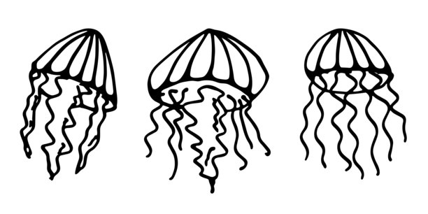 一套手绘水母涂鸦，海洋生物插画，可爱的海洋水下生物，水母素描剪贴画，适用于网页、设计、装饰、儿童印花的单一元素图片下载