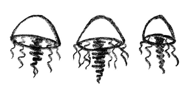 手绘水母涂鸦套装 海洋生物插画 可爱海洋水下生物 medusa草图剪贴画 适用于网页、设计、装饰、儿童印花的单个元素图片下载