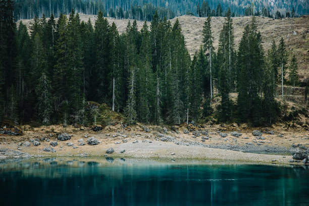 多洛米蒂布莱斯湖的美丽蓝水照片图片下载