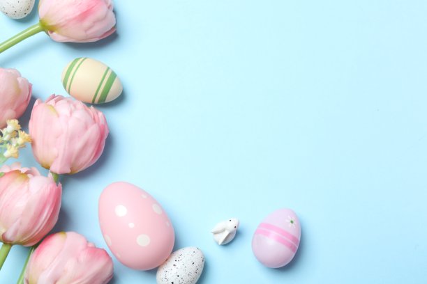 复活节快乐。郁金香和彩蛋在粉蓝色画布上的俯视照片，留有空白文本空间图片下载