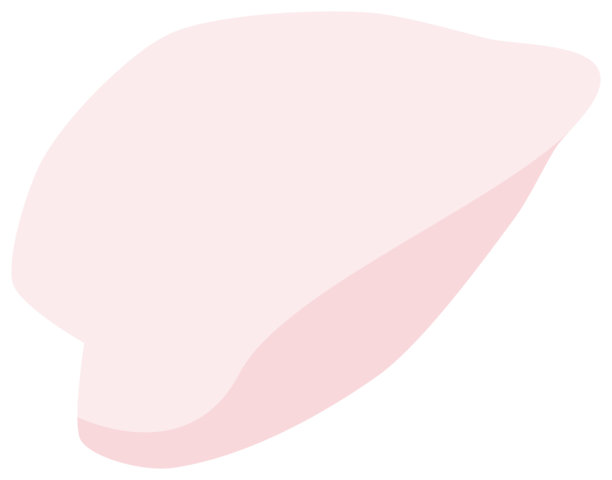 樱花，简约柔和的春季花卉插画图片下载