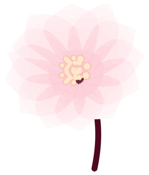 樱花，简单的春天柔和花卉插画图片下载