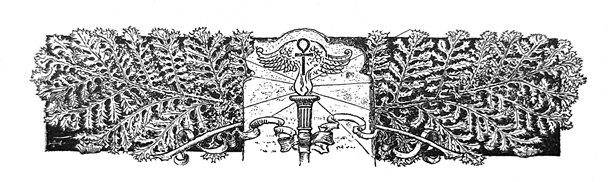 复古插画 - 被装饰性植物蕨类图案环绕的火炬图片下载