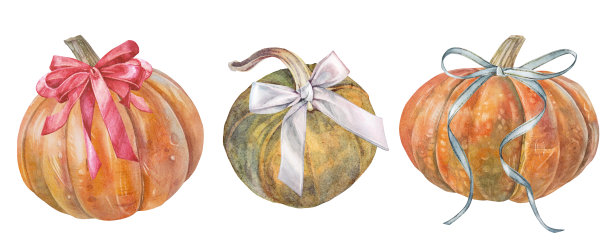 水彩橙色南瓜套装，带有丝带蝴蝶结，孤立在白色背景上。秋季蔬菜生食，可用作贴纸或万圣节卡片。厨房插画素材。可用作壁纸、包装纸或纺织品图案。图片下载