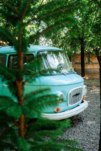 花园里松树后的复古蓝色货车，用于旅行和复古生活方式图片下载