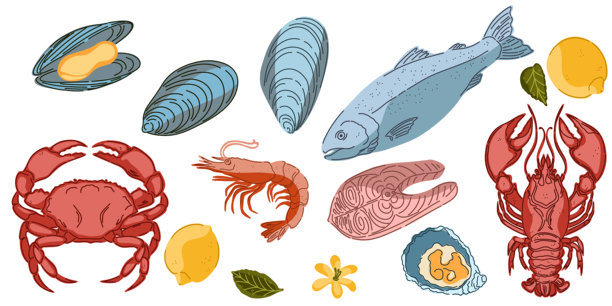 一套复古手绘插画，描绘食品。温馨的地中海卡通风格。孤立元素，打包图片下载