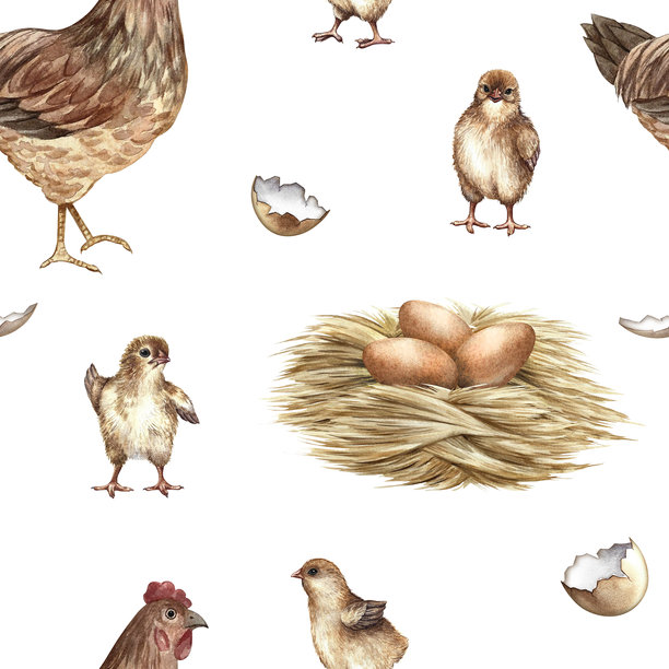 母鸡、鸡窝和小鸡的无缝图案。手绘水彩插画，非常适合农场项目、纺织品、包装、壁纸标签等。图片下载