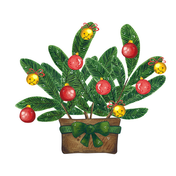 一个装有杉树枝、铃铛和红色装饰球的花瓶。手绘水彩插画，卡通风格。适用于贴纸、海报、卡片、剪贴簿设计。圣诞节、节日、装饰、植物图片下载