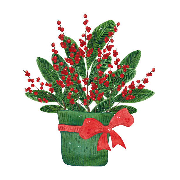 一个装有冷杉和树枝及红色浆果的花瓶。手绘水彩插画，卡通风格。适用于贴纸、海报、卡片、剪贴簿设计。圣诞节、节日、装饰、植物图片下载