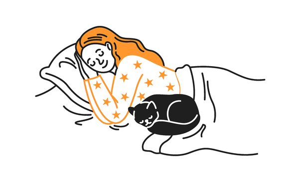 女人与猫安详地入睡图片下载