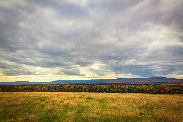 风景、森林、喀尔巴阡山脉、自然风光照片 - 欧洲、东欧图片下载