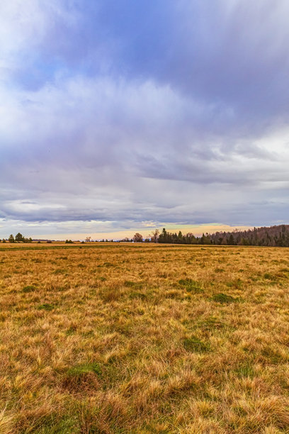 自然风光，森林，喀尔巴阡山，欧洲自然照片，东欧图片下载