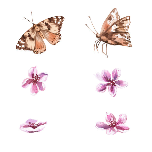 一套蝴蝶和春天的粉色桃花。写实风格的隔离水彩插画，适用于明信片、室内装饰、包装、商品、海报和织物。图片下载
