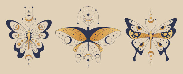 波西米亚风格的蝴蝶与月亮插画图片下载