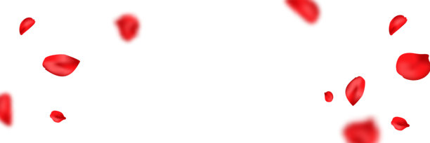 红色玫瑰花瓣横幅。花瓣飞舞背景。情人节浪漫卡片。春夏花朵浪潮边框。母亲节快乐。美容水疗产品。有机化妆品。矢量图图片下载