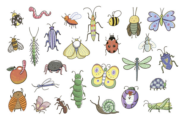 有趣的虫子：蜗牛、蜜蜂、毛毛虫、蝴蝶、瓢虫矢量手绘插画集。图片下载