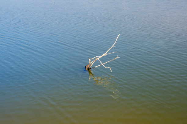 伊拉克纳杰夫 - 2023年2月5日：伊拉克纳杰夫市如湖泊般的海景照片图片下载