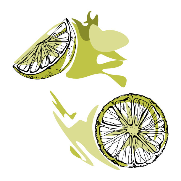 手绘墨水风格的青柠片和青柠圈，孤立的矢量插画。热带鸡尾酒配料，适用于酒吧菜单设计、食谱排版、柑橘系列、水果摊贩、农贸市场。图片下载