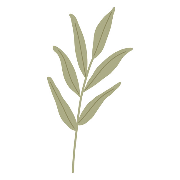 艺术与插画图片下载