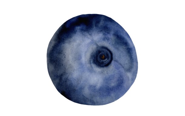 蓝莓水彩插画。手绘蓝莓，背景为白色。植物剪贴画。非常适合美食博客设计、有机商店菜单以及产品和化妆品包装。图片下载