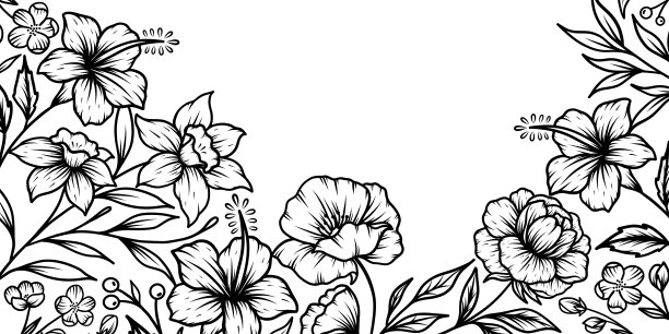 柔和的花朵和叶子组成的ので花卉背景或壁纸。用于婚礼请柬或墙壁艺术的植物叶子。矢量插画。图片下载