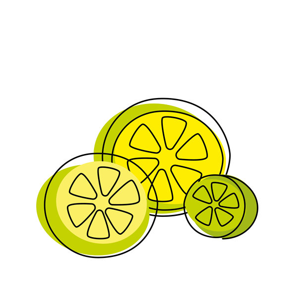 明亮手绘矢量插画风格的清新柠檬切片构图，简约干净图片下载