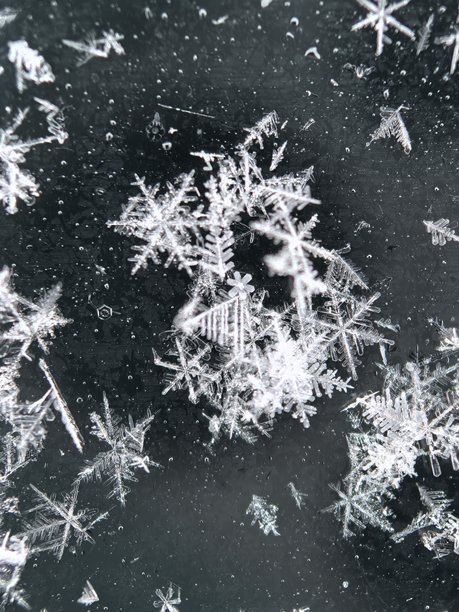 雪的微距摄影，雪花微距摄影，雪的质感，美丽的白底照片，用于背景的白色纹理，美丽的冬季照片图片下载