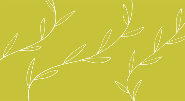 橄榄绿背景上的简约白色叶子线条艺术图案。极简植物插画，带有细长的白色叶子轮廓。现代美学背景，饰有优雅的手绘叶子。图片下载